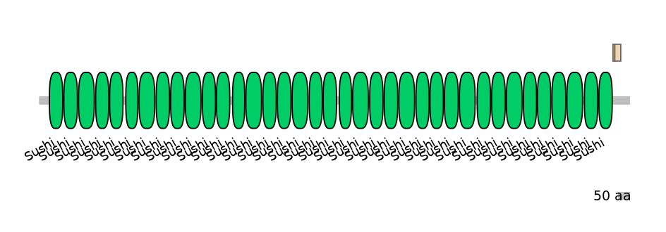 HsaINT0041144-EXC