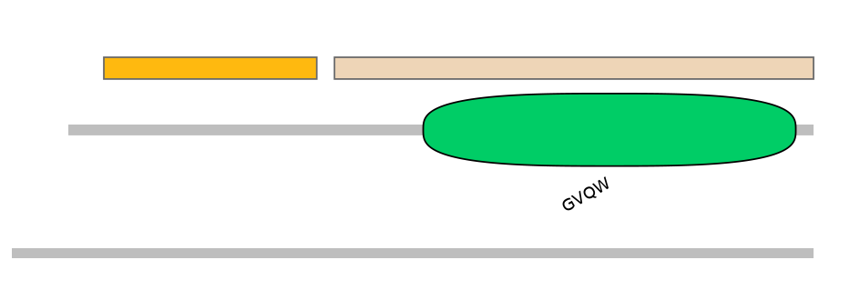 HsaINT0041267-EXC