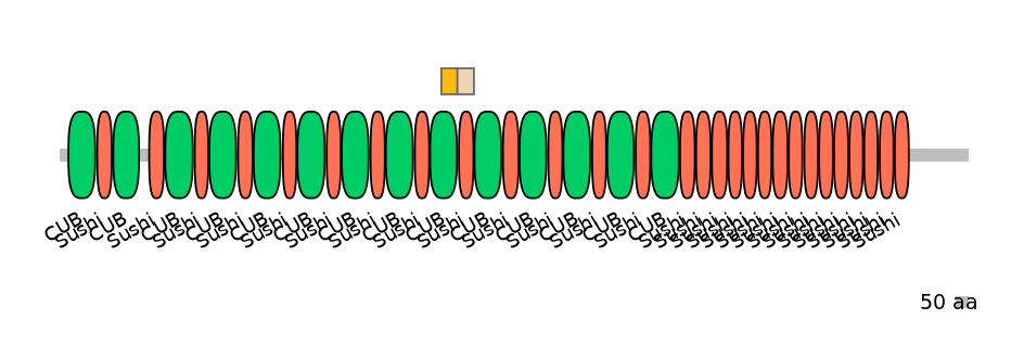HsaINT0042101-EXC