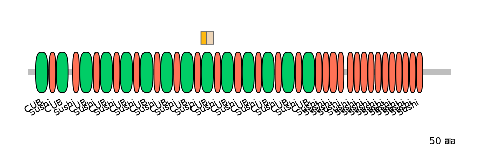 HsaINT0042169-EXC