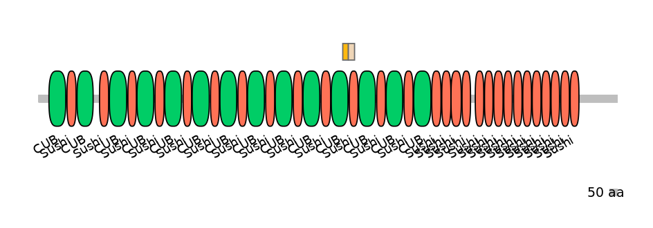 HsaINT0042179-EXC