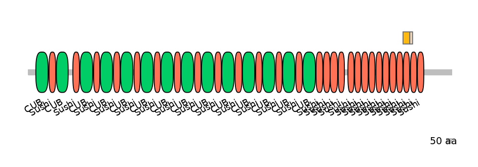 HsaINT0042205-EXC