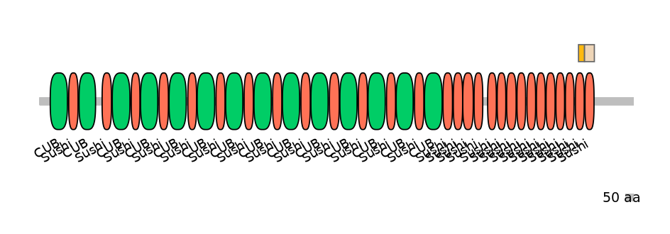 HsaINT0042207-EXC