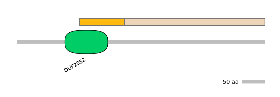 HsaINT0042483-EXC
