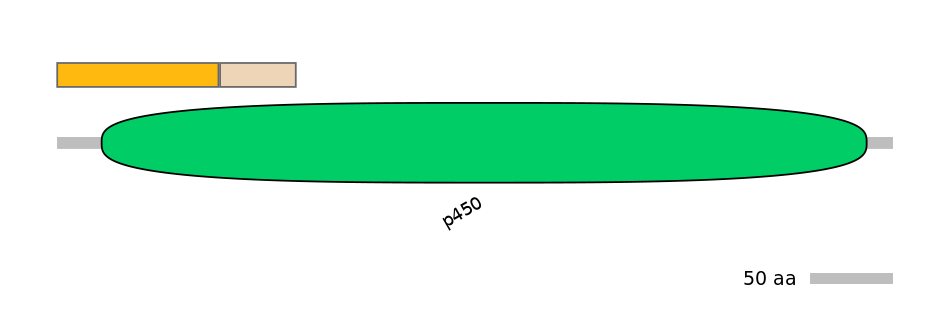 HsaINT0044106-EXC