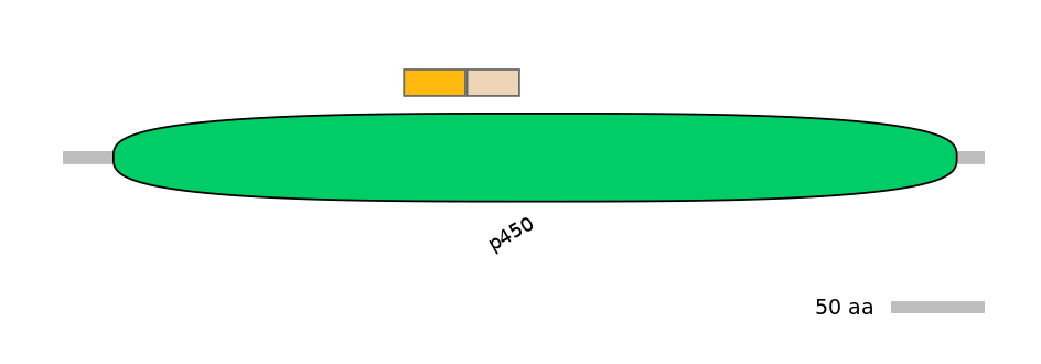 HsaINT0044151-EXC