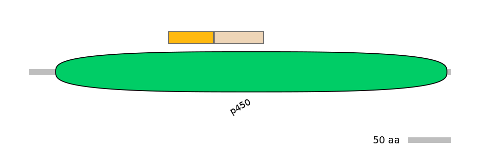 HsaINT0044338-EXC