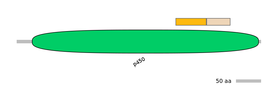HsaINT0044341-EXC