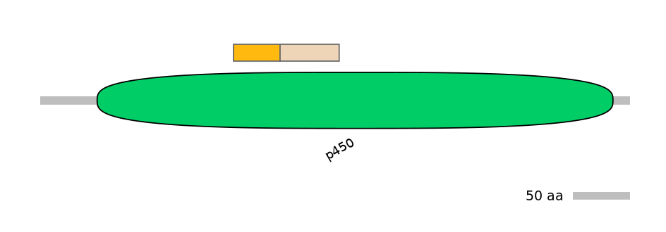 HsaINT0044437-EXC
