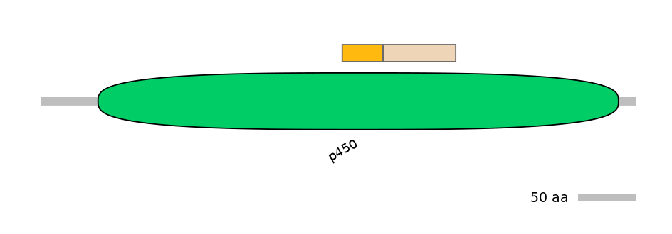 HsaINT0044439-EXC
