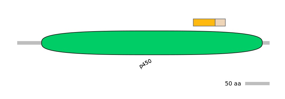 HsaINT0044441-EXC