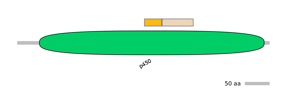 HsaINT0044449-EXC