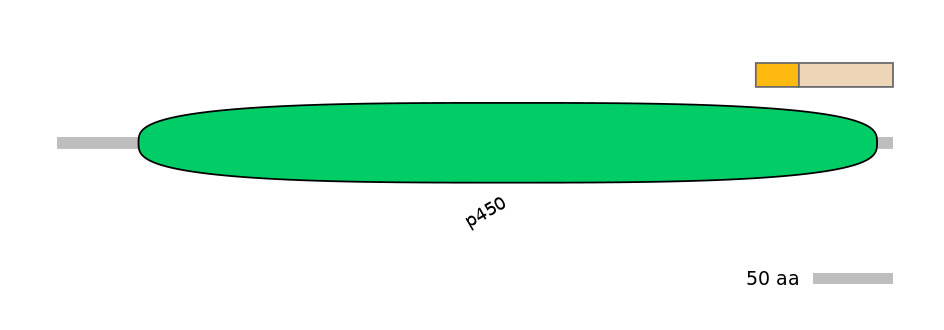HsaINT0044467-EXC