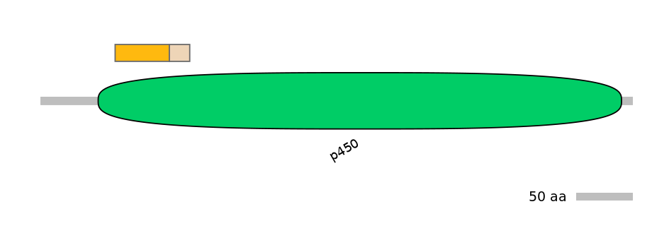 HsaINT0044469-EXC