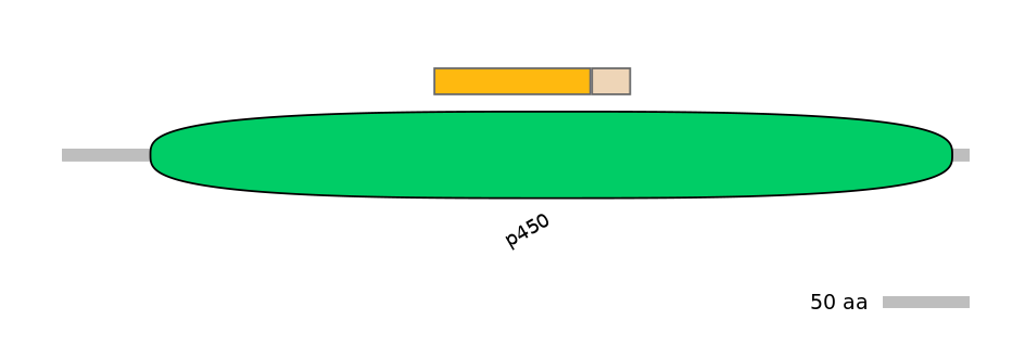 HsaINT0044473-EXC