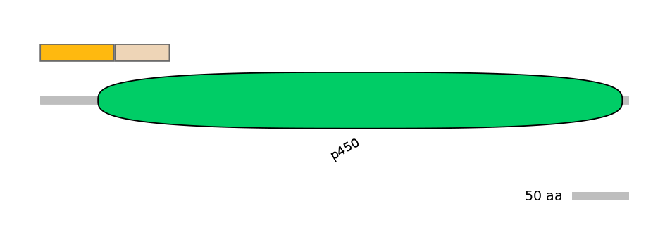 HsaINT0044480-EXC