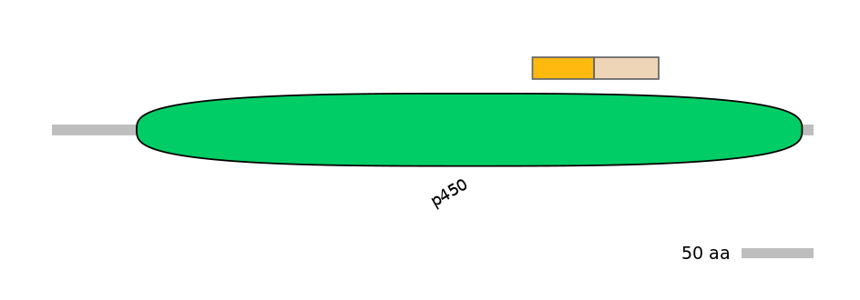 HsaINT0044489-EXC