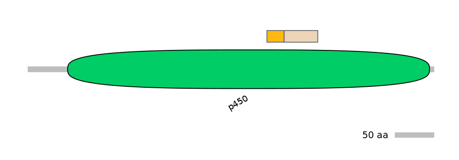 HsaINT0044520-EXC