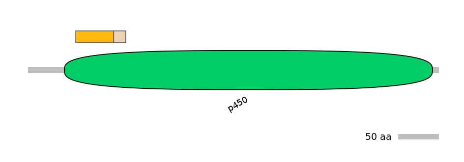 HsaINT0044547-EXC
