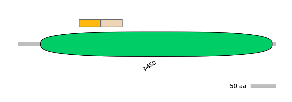 HsaINT0044549-EXC