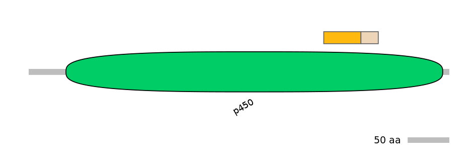 HsaINT0044554-EXC