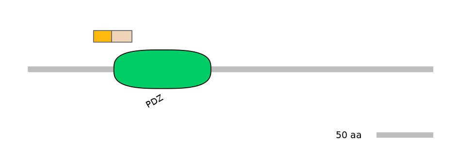 HsaINT0044645-EXC