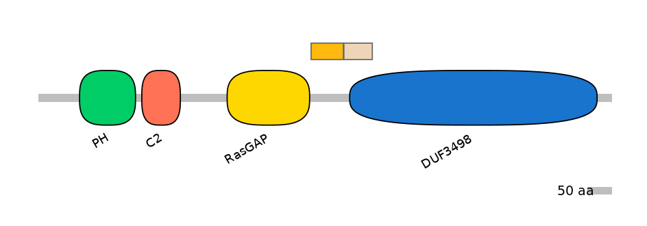 HsaINT0044756-EXC