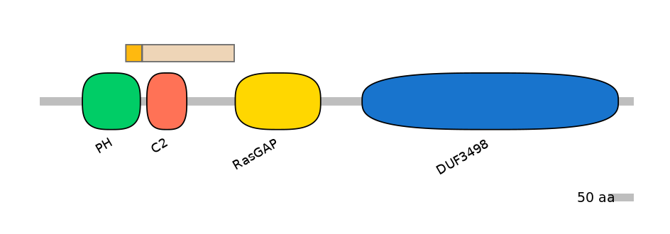HsaINT0044765-EXC