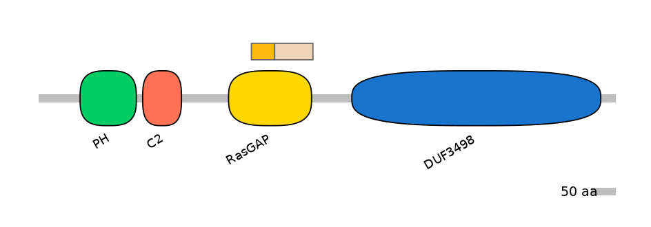 HsaINT0044768-EXC