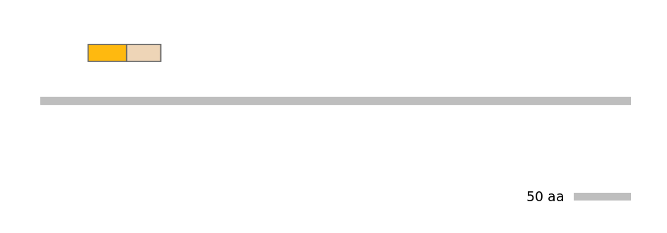 HsaINT0045232-EXC