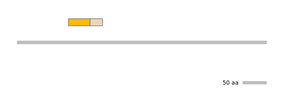 HsaINT0045234-EXC