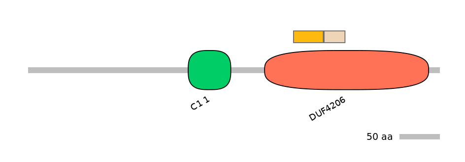 HsaINT0046602-EXC