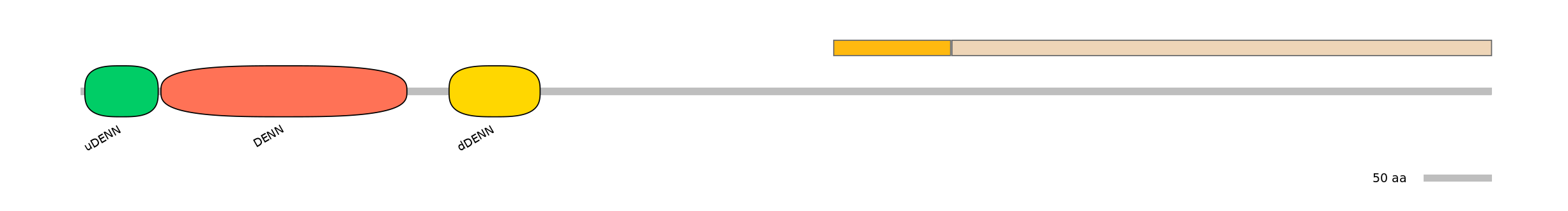 HsaINT0046685-EXC