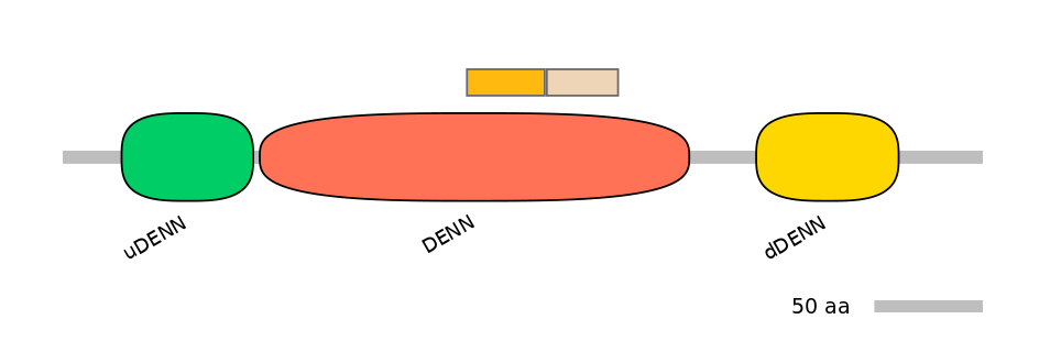 HsaINT0046702-EXC