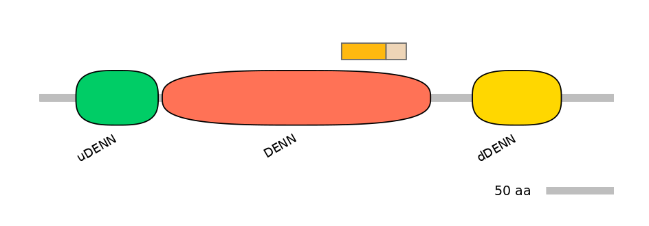 HsaINT0046703-EXC