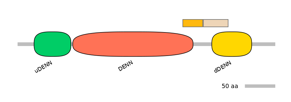 HsaINT0046705-EXC