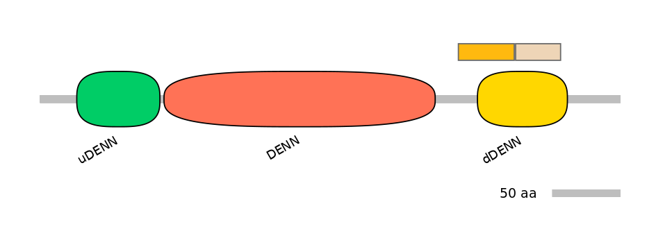 HsaINT0046706-EXC