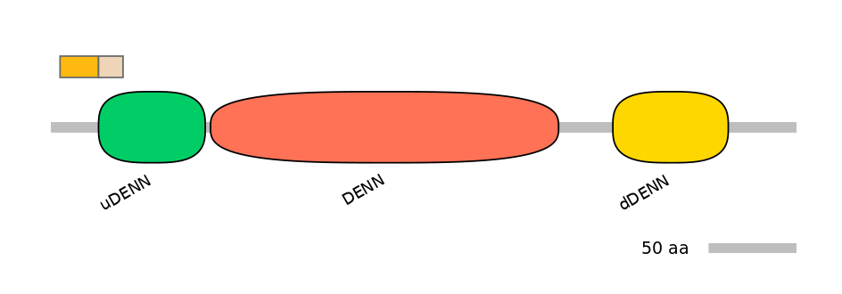HsaINT0046707-EXC