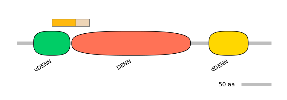 HsaINT0046710-EXC