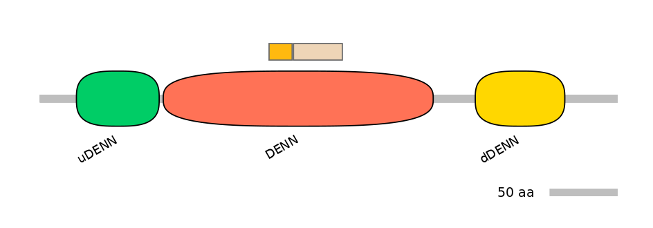 HsaINT0046714-EXC