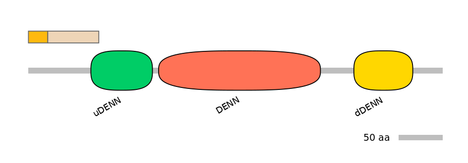HsaINT0046771-EXC