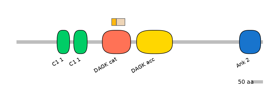 HsaINT0047324-EXC