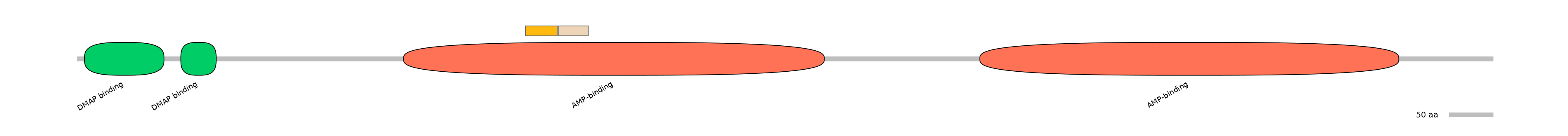 HsaINT0048077-EXC