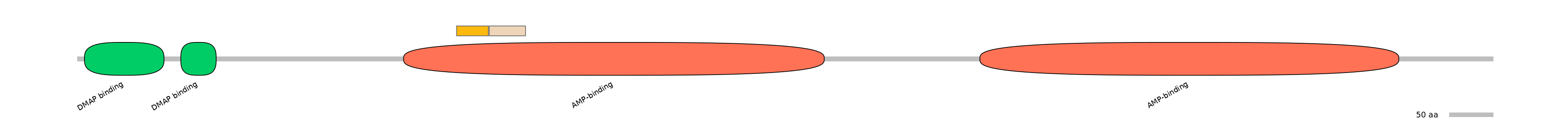 HsaINT0048097-EXC