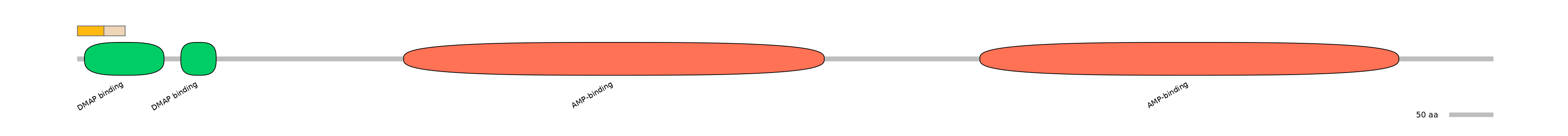 HsaINT0048100-EXC