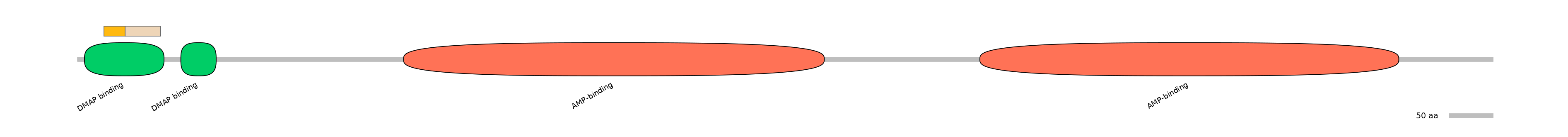 HsaINT0048101-EXC