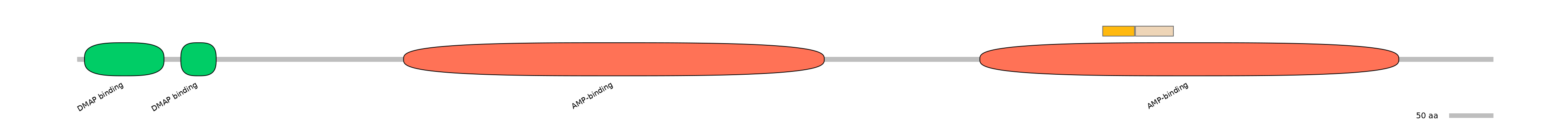 HsaINT0048102-EXC