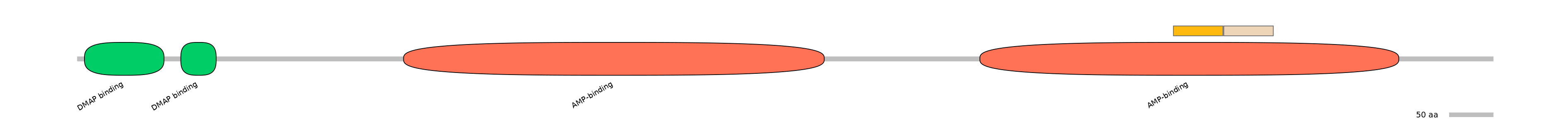 HsaINT0048105-EXC