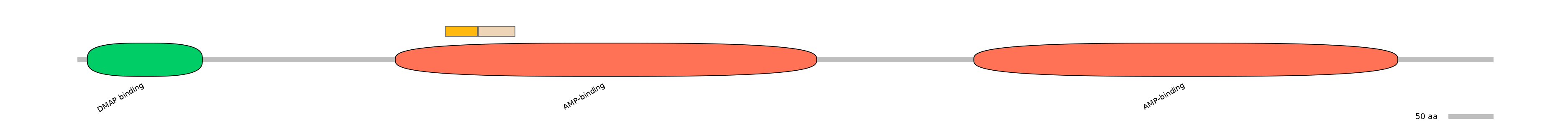 HsaINT0048113-EXC