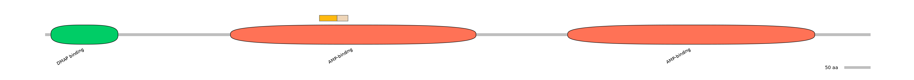 HsaINT0048116-EXC
